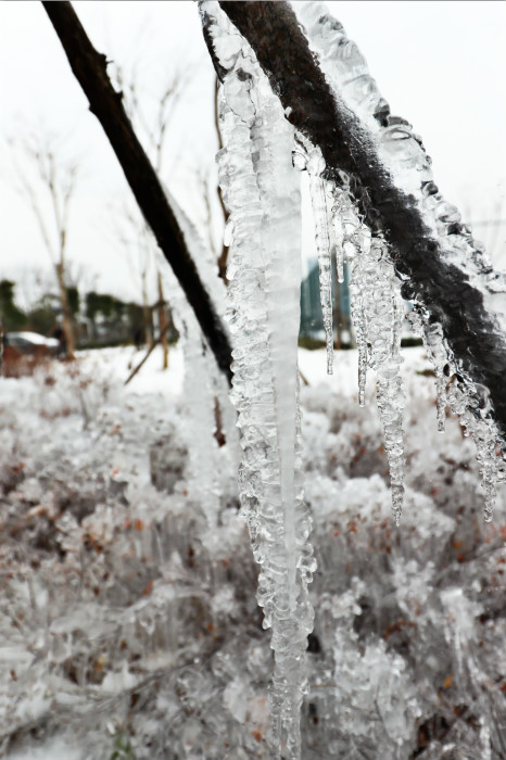 一場(chǎng)雪，體育中心美得不要不要的 但最美的風(fēng)景還是他們(圖4)