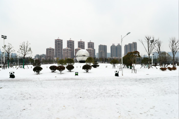 一場(chǎng)雪，體育中心美得不要不要的 但最美的風(fēng)景還是他們(圖2)