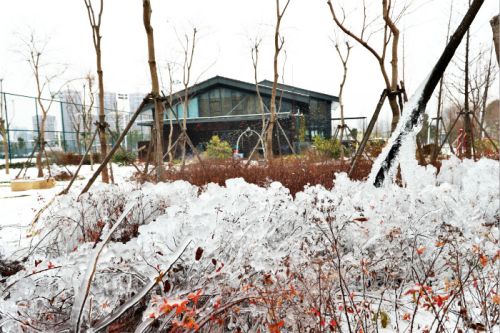 一場(chǎng)雪，體育中心美得不要不要的 但最美的風(fēng)景還是他們(圖3)